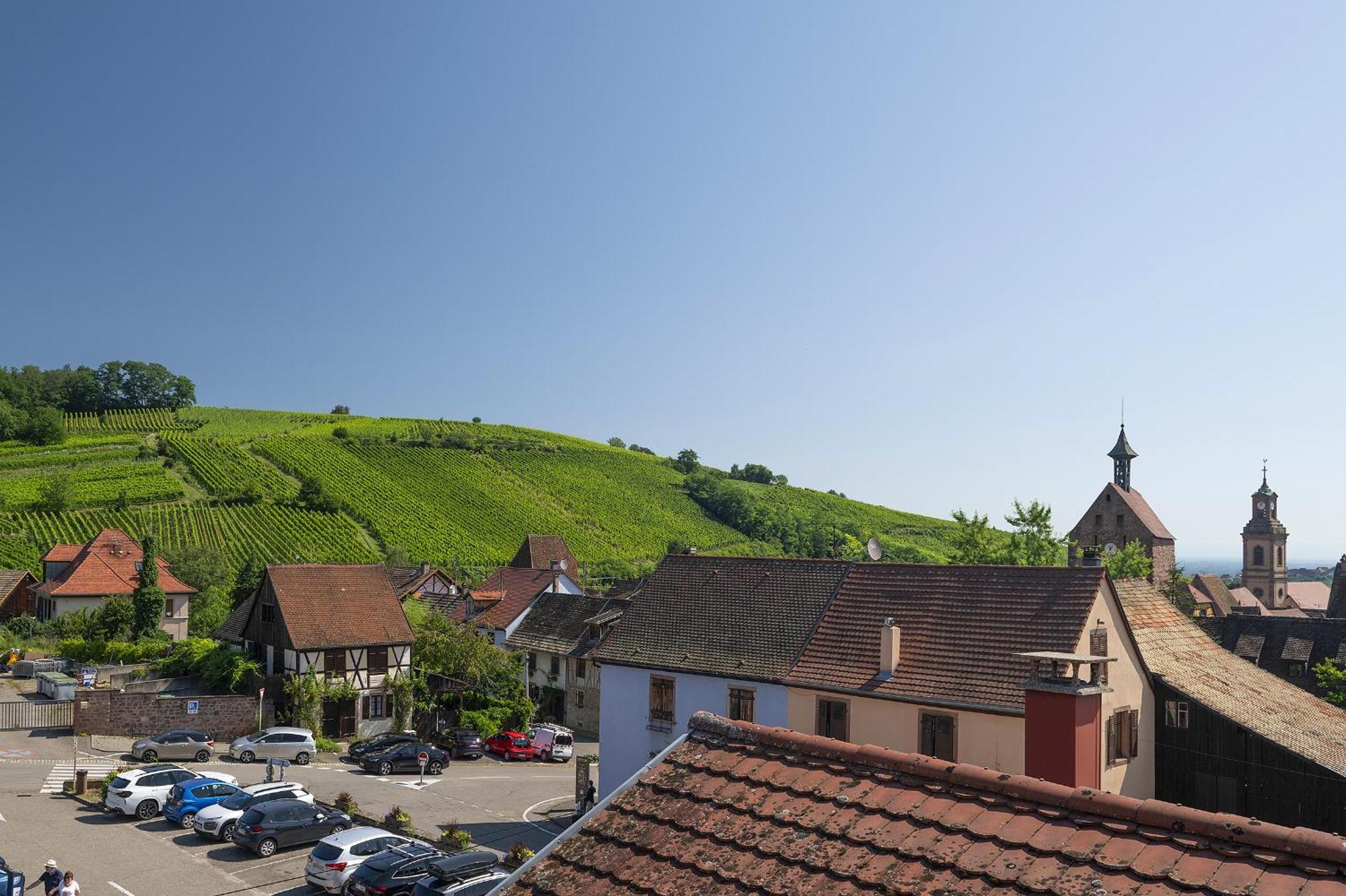 Riesling - Vue Imprenable Sur Le Vignoble - Renove Recemment - Parking Gratuit Apartman Riquewihr Kültér fotó
